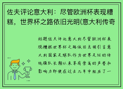 佐夫评论意大利：尽管欧洲杯表现糟糕，世界杯之路依旧光明(意大利传奇门将佐夫)